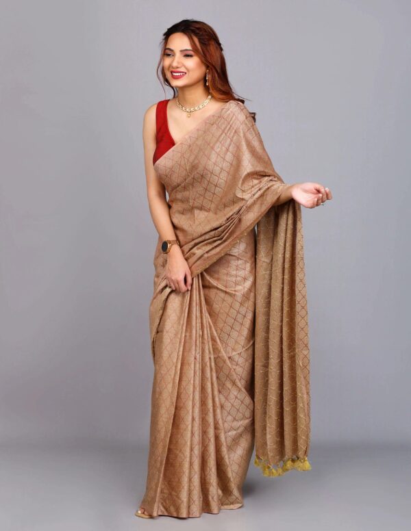 Full Body Handwoven Handloom Katan Silk Saree – A Masterpiece of Craftsmanship and Elegance - Image 8