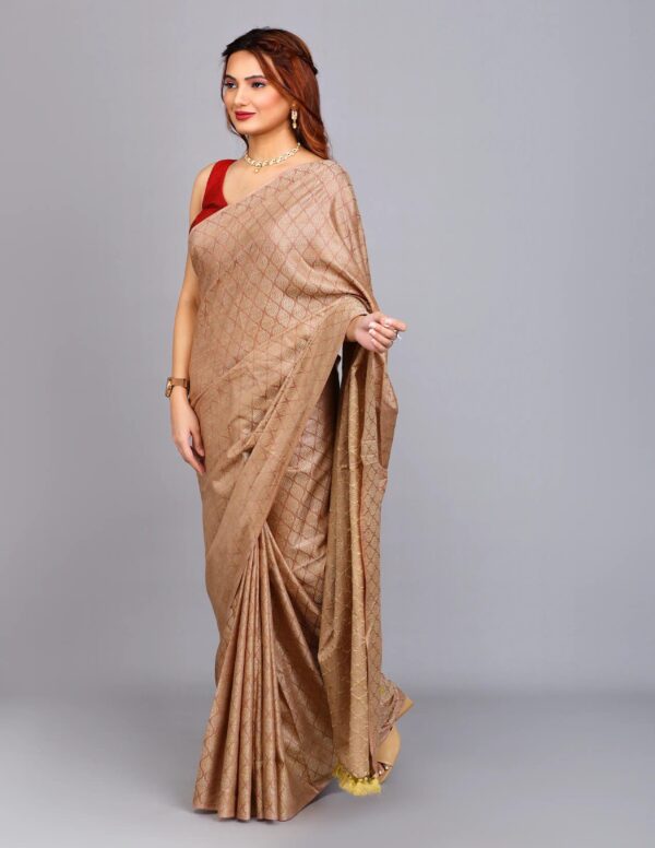 Full Body Handwoven Handloom Katan Silk Saree – A Masterpiece of Craftsmanship and Elegance - Image 3