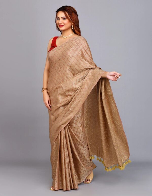Full Body Handwoven Handloom Katan Silk Saree – A Masterpiece of Craftsmanship and Elegance - Image 5
