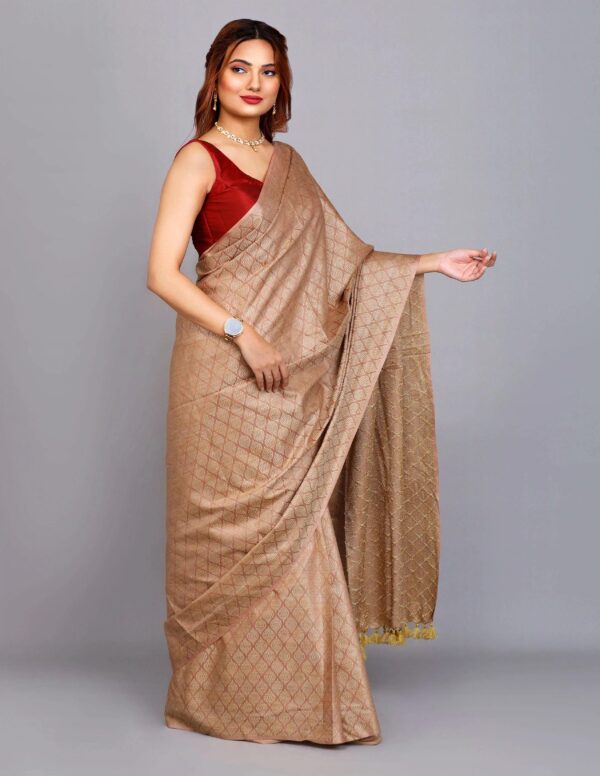 Full Body Handwoven Handloom Katan Silk Saree – A Masterpiece of Craftsmanship and Elegance - Image 6